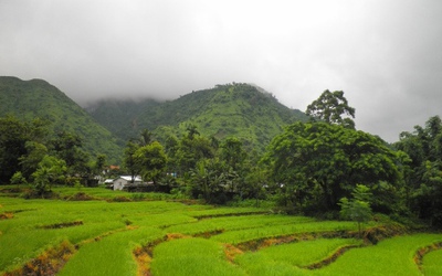 Những ngày mù sương ở Darjeeling