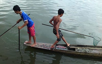 Nguồn thủy sinh trên sông Sài Gòn đang cạn kiệt