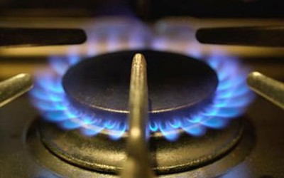 Chuột gặm dây gas, cả nhà nhập viện