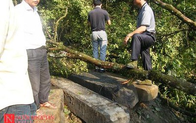 Bắt khẩn cấp 6 đối tượng vụ phá rừng lớn nhất Hà Tĩnh