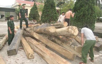 Hà Tĩnh: Bắt 4 vụ vận chuyển gỗ lậu trong đêm