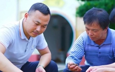 Đại gia phố thị bỏ việc tiền tỉ về quê, biến nông sản thành “vàng ròng”