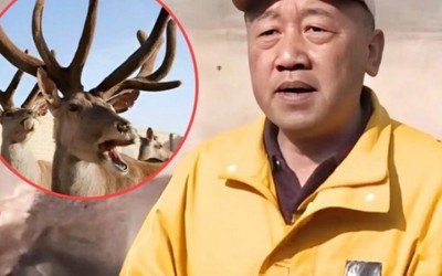 Kiếm hàng chục tỷ/năm nhờ nuôi loài “khó đẻ, dễ chết”