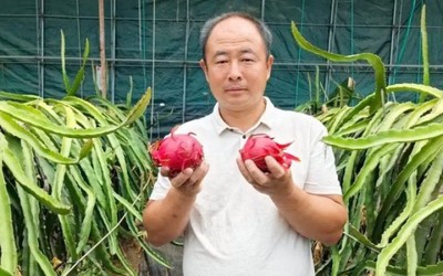 Từ thu ve chai sang làm nông dân, mỗi năm nhẹ nhàng kiếm vài tỷ