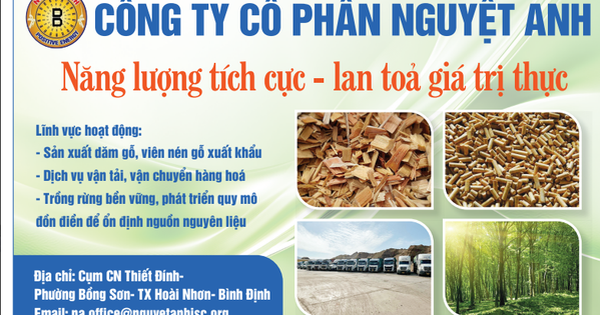 Tập đoàn Nguyệt Anh kiến tạo môi trường xanh, sản xuất đi đôi với phát triển bền vững