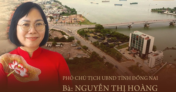 [E] Sự hiện diện của doanh nghiệp FDI trong số hoá nền kinh tế