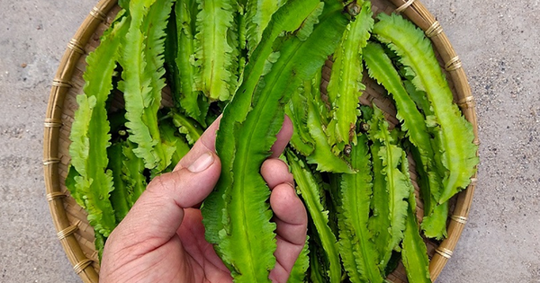 Loại rau hình con sâu bự ví như