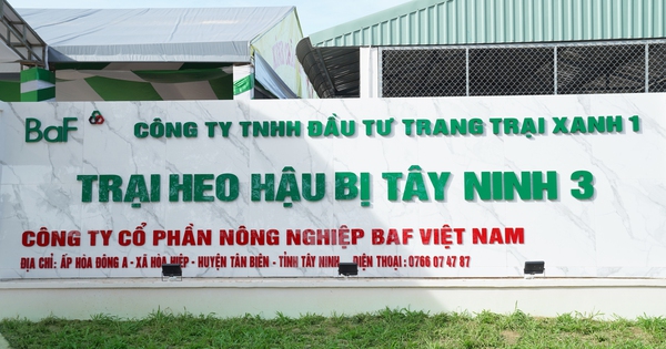 BAF tiếp tục thâu tóm công ty trong lĩnh vực chăn nuôi