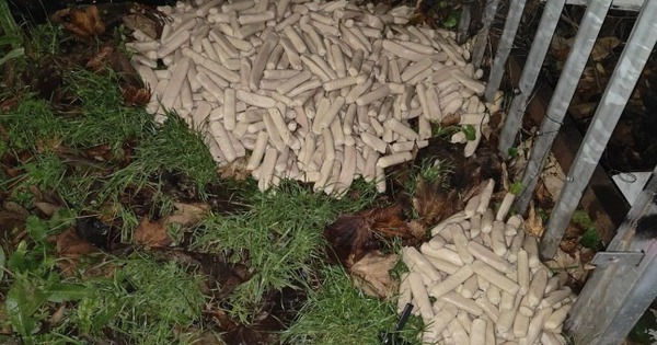 Dắt chó đi dạo, người đàn ông bắt gặp cảnh tượng bí ẩn