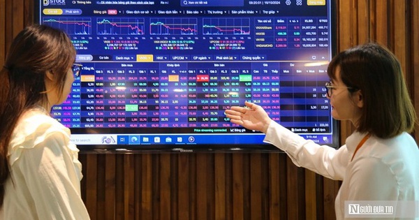 VN-Index hồi phục kỹ thuật, khuyến nghị thăm dò cổ phiếu chăn nuôi và dầu khí