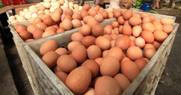 Hơn 10 người nhập viện nghi do ngộ độc trứng nhiễm khuẩn