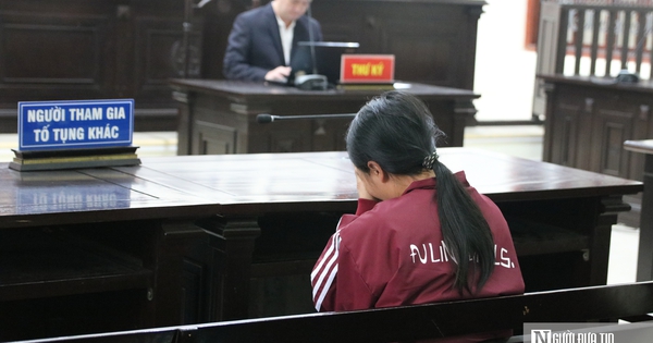 Người vợ khóc cạn nước mắt trong phiên toà xét xử kẻ sát hại chồng mình