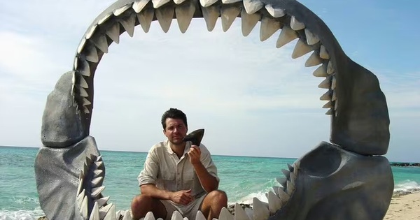 Tiếng động lạ từ đáy đại dương: Không phải quái vật biển, sự thật còn đáng sợ hơn