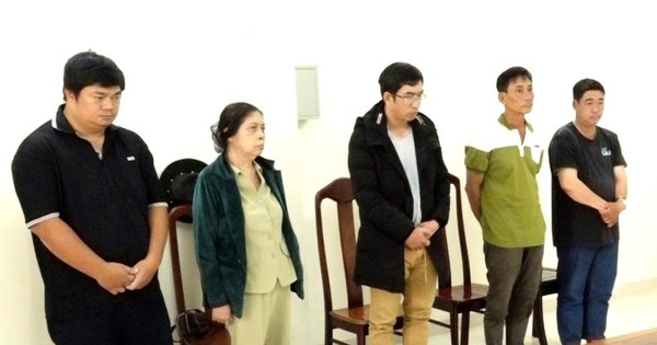 Vụ thợ điện bị giật tử vong trên trụ điện: Khởi tố, bắt tạm giam nhóm bị can