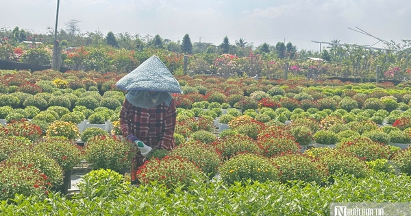 Hơi thở lễ hội ngập tràn “thủ phủ