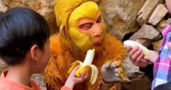 Nghề lạ: Đi làm như đi chơi, nhận lương hơn 20 triệu đồng/tháng