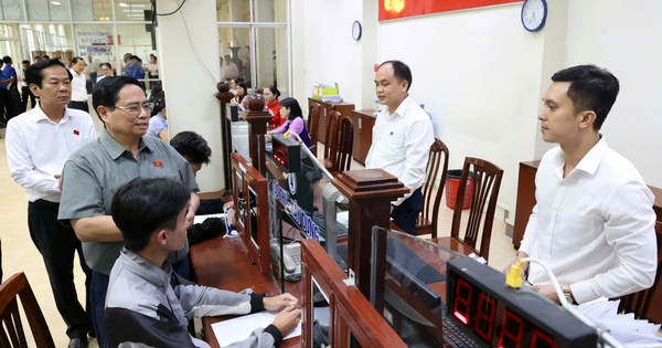 Khẩn trương cập nhật đầy đủ dữ liệu về bảo hiểm, lý lịch tư pháp, giấy phép lái xe