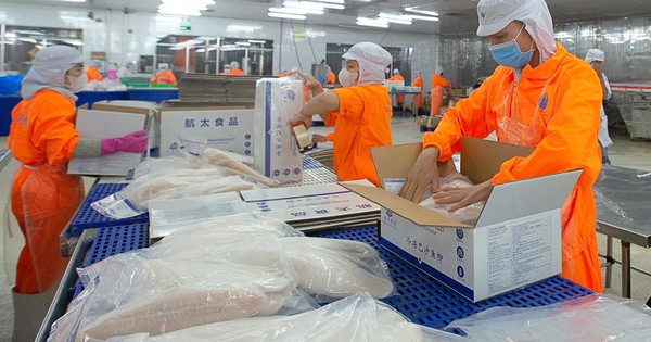 Phó Tổng Giám đốc Nam Việt muốn bán cổ phiếu