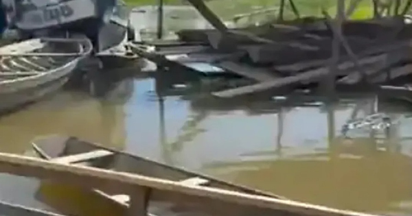 Rơi xuống sông, bé gái tử vong khi bị loài cá đáng sợ tấn công