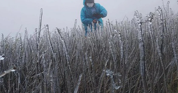 Đón không khí lạnh 