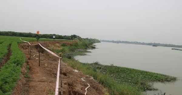 Vụ xử lý sự cố sạt lở kè Nguyên Hòa, đê tả sông Luộc: Khởi tố thêm 4 bị can