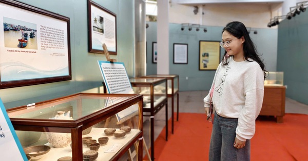 Ngắm di sản trục vớt từ các tàu cổ khắp Việt Nam hội tụ tại Quảng Ngãi