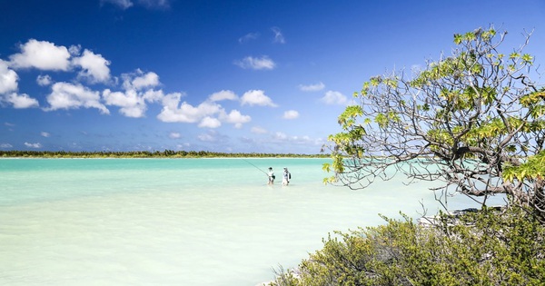 Sự thật thú vị về nơi đón năm mới 2026 sớm nhất