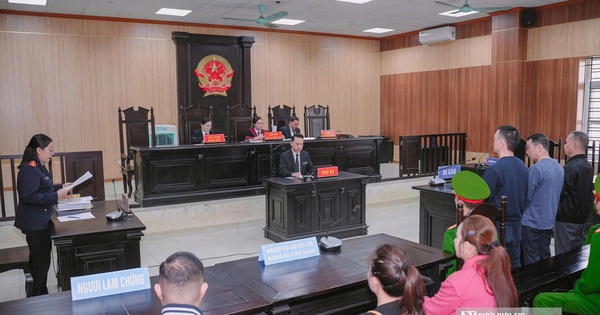 Bị tố nhận 280 triệu đồng tiền chạy án của Vi “ngộ”, Phó Viện trưởng VKSND tỉnh Nghệ An bị xử lý thế nào?