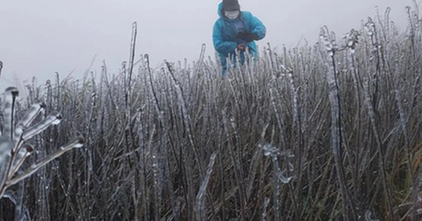 Dự báo thời tiết 2/1: Miền Bắc đón không khí lạnh rất mạnh, dự báo nơi rét đậm nhất