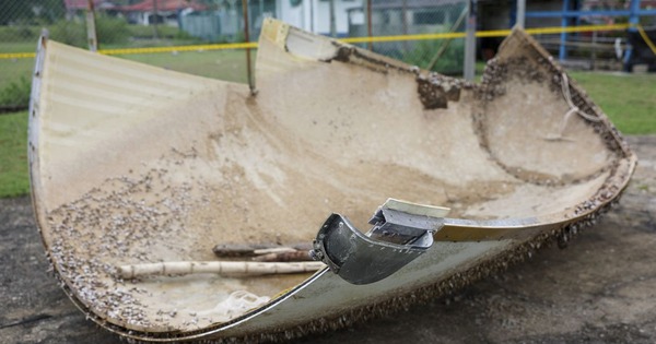 Phát hiện vật thể lạ khổng lồ trôi dạt vào bãi biển