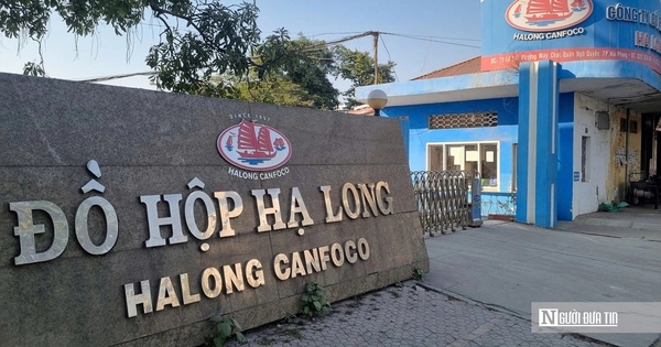 Từ vụ đồ hộp Hạ Long: Bịt 