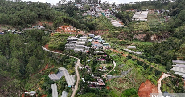 Rủi ro từ homestay, quán cà phê xây dựng trên sườn đồi: Sở Xây dựng Lâm Đồng lên tiếng