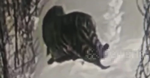 Nhìn ra ngoài cửa sổ, người dân chứng kiến cảnh tượng “nổi da gà”