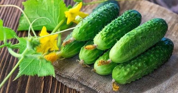 Loại quả được ví là 