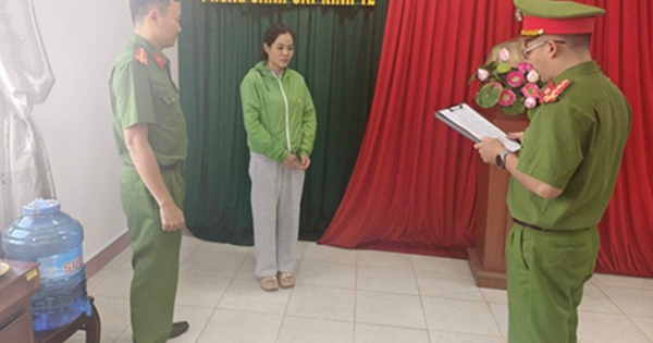 Mua bán trái phép hóa đơn, nữ giám đốc bị khởi tố