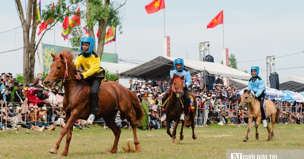 Nông dân Đắk Lắk hoá “kỵ sĩ”, ngựa thồ thành chiến mã tại lễ đua Gò Thì Thùng