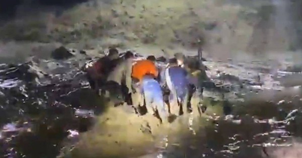 Đi tắm cùng con trai, người đàn ông bị thứ đáng sợ cắn tử vong