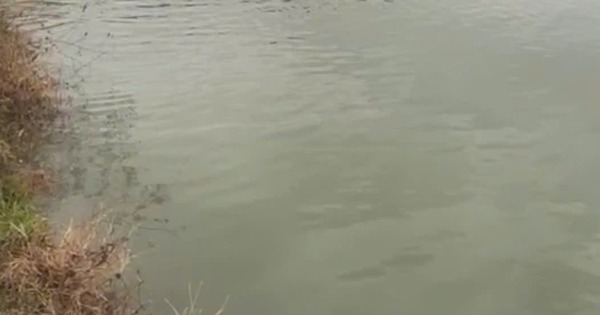 Phát hiện thai phụ cùng con gái 4 tuổi tử vong dưới hồ nước