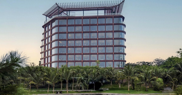 OCH thực hiện vượt kế hoạch doanh thu và lợi nhuận năm 2025