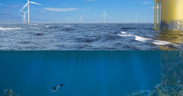 Khi trang trại điện gió ngoài khơi không chỉ tạo ra điện