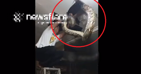 Nhìn lên trần nhà, người đàn ông thấy thứ 