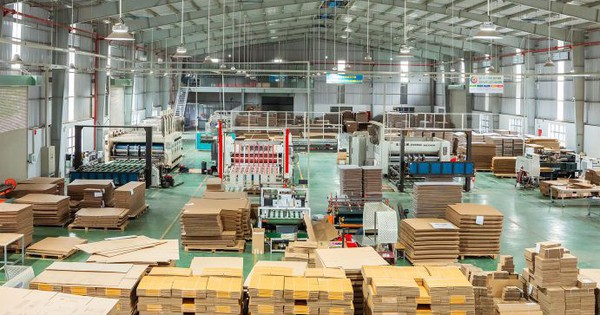 Công ty Công nghệ Bao bì Giấy Tiến Phát: Khẳng Định Vị Thế Dẫn Đầu Ngành In Ấn Carton Tại Việt Nam