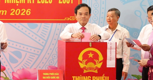 Tp.HCM chốt danh sách 125 đại biểu HĐND khóa mới, hơn 9,4 triệu cử tri tham gia bầu cử