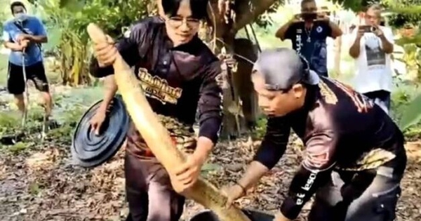 Người đàn ông bỏ chạy khi bắt gặp cảnh tượng trong vườn cây ăn quả