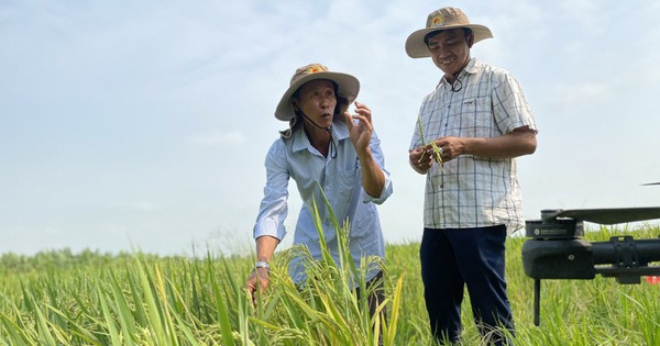 Bộ NN&MT xây dựng kịch bản sản xuất trước tình hình xung đột Trung Đông