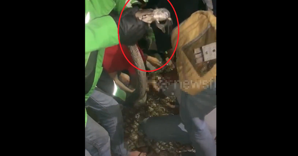 Đang nằm, người đàn ông sốc nặng khi phát hiện cảnh tượng 