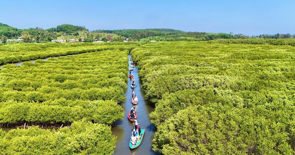 Khám phá “miền Tây thu nhỏ” ở Quảng Ngãi