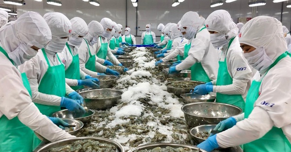 Xuất khẩu tôm khởi sắc đầu năm