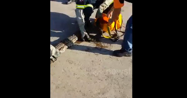 Đang đi ngoài đường, người dân thấy cảnh tượng 