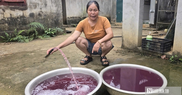 Nước giếng khoan chuyển màu tím, bốc mùi hôi tanh: Đã tìm ra 
